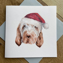 Load image into Gallery viewer, FESTIVE SPINONE CARD

