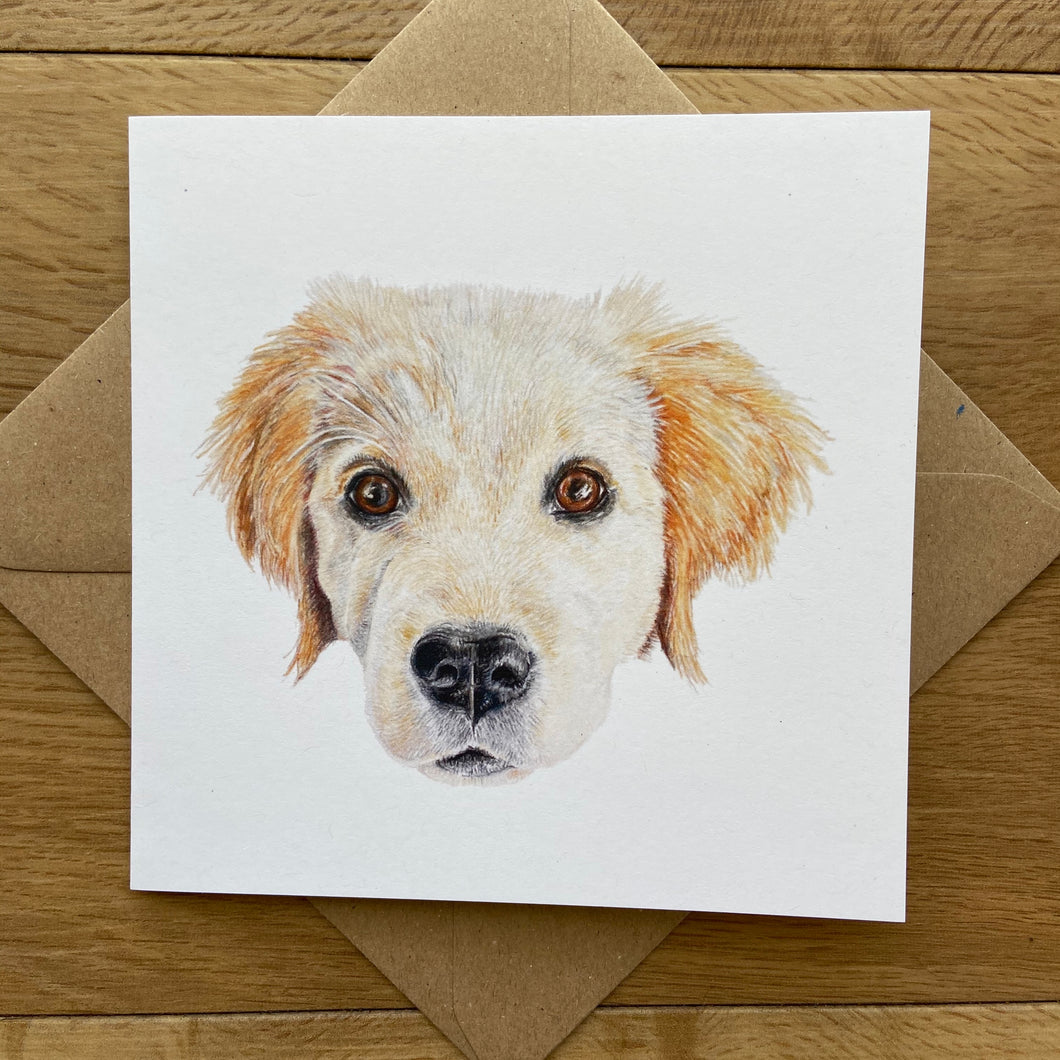 RETRIEVER PUPPY CARD