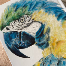Load image into Gallery viewer, PARROT NOTEBOOK
