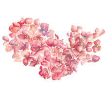 Load image into Gallery viewer, HYDRANGEA PRINT
