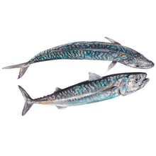 Load image into Gallery viewer, MACKEREL DUO PRINT

