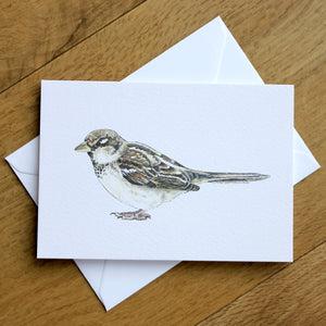 LITTLE BIRD CARD